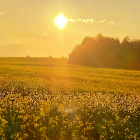 Cisza Nad Jeziorem Dworackim - Mazury Garbate