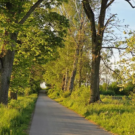 Cisza Nad Jeziorem Dworackim - Mazury Garbate