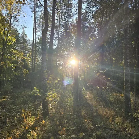 Cisza Nad Jeziorem Dworackim - Mazury Garbate *